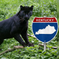 The Importance of Understanding Animal Ownership Laws in Bullitt County, KY